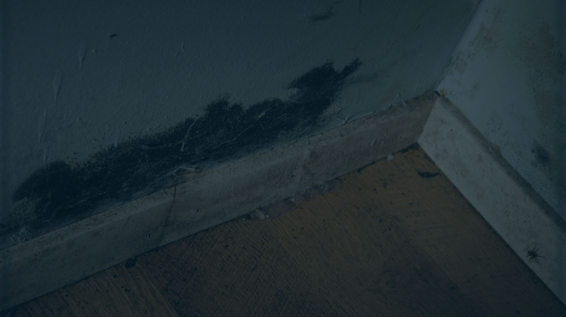 Copie - Entête Simple - Articles